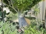 AAFADP922_34406_V0_4B0C.jpg