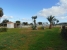 58-f216ef5a4348ce69a3d78ee72f4b3bc2.jpg
