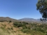29-7c2f312881aea9bbe9ddaeb9640e2c9a.jpg