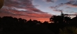 21-2c707e7c511429b4f8ec4ee5f221ddb6.jpg