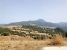 5-3595ad71cbd87be6c3643a4285ef4791.jpg